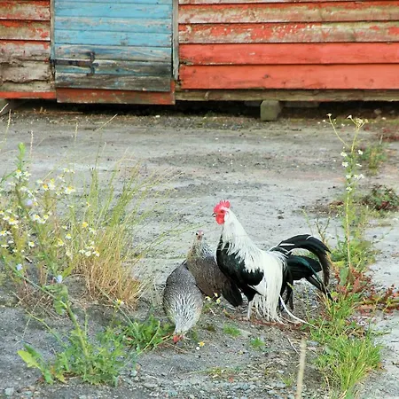 Bornholms Kroggaard Διαμέρισμα *